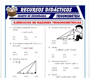 Ficha de Ejercicios de Razones Trigonométricas para Cuarto de Secundaria
