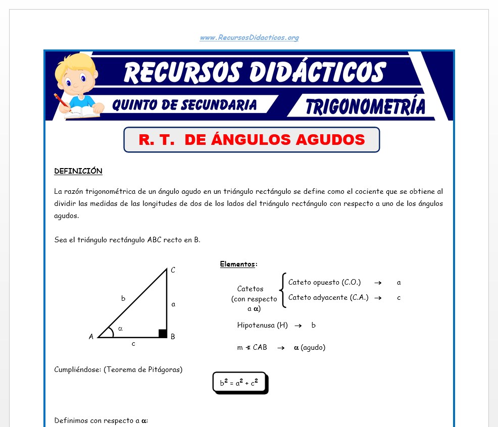 Ficha de Razones Trigonométricas de Ángulos Agudos para Quinto de Secundaria
