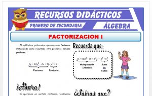 Ficha de Factorización por Factor Comun para Primero de Secundaria
