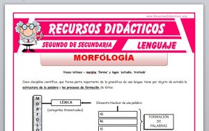 Ficha de La Morfología para Segundo de Secundaria