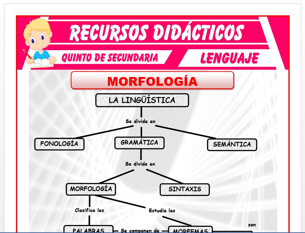 Ficha de Morfología para Quinto de Secundaria