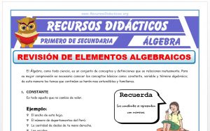 Ficha de Revisión de Elementos Algebraicos para Primero de Secundaria