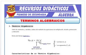 Ficha de Término Algebraico para Primero de Secundaria