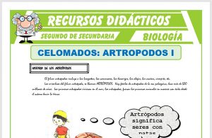 Ficha de Celomados Artrópodos para Segundo de Secundaria