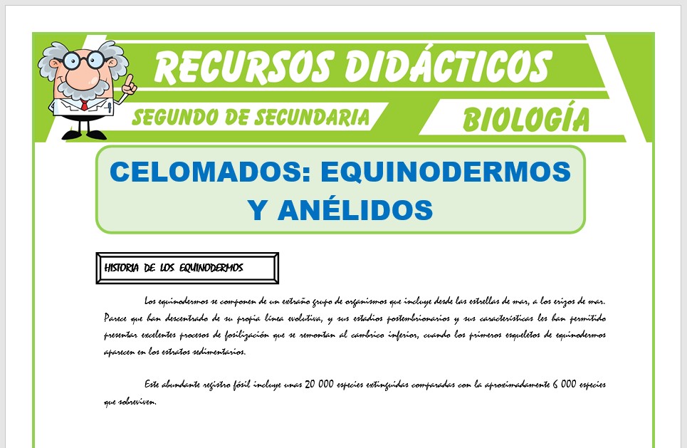 Ficha de Celomados Equinodermos y Anélidos para Segundo de Secundaria
