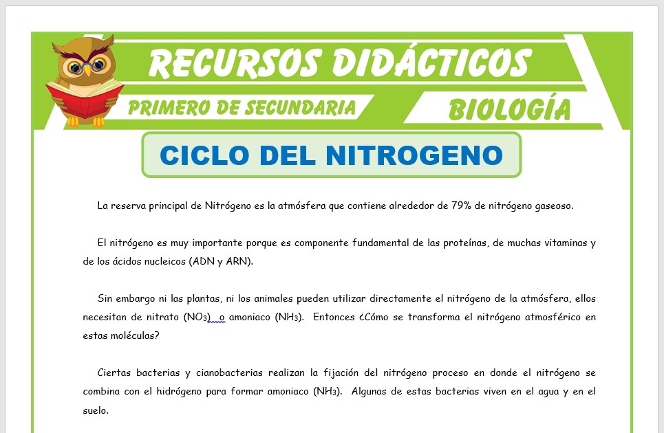 Ficha de Ciclo del Nitrógeno para Primero de Secundaria