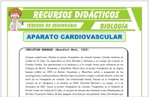 Ficha de El Aparato Cardiovascular para Tercero de Secundaria