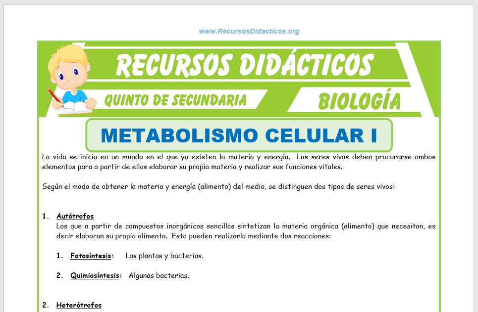 Ficha de El Metabolismo Celular para Quinto de Secundaria