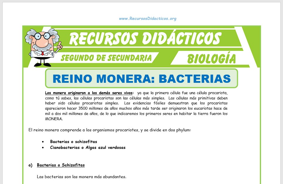 Ficha de El Reino Monera Bacterias para Segundo de Secundaria