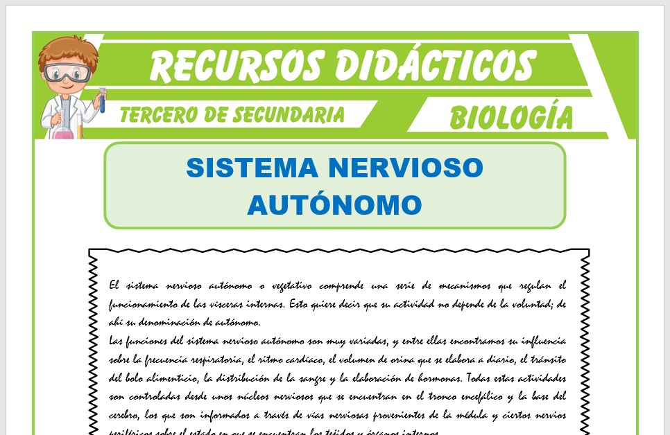 Ficha de El Sistema Nervioso Autónomo para Tercero de Secundaria