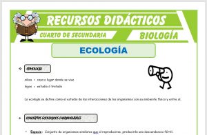Ficha de La Ecología para Cuarto de Secundaria