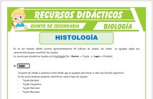 Ficha de La Histología para Quinto de Secundaria