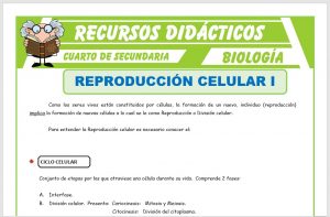 Ficha de La Reproducción Celular para Cuarto de Secundaria