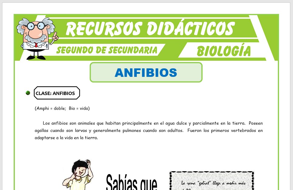 Ficha de Los Anfibios para Segundo de Secundaria