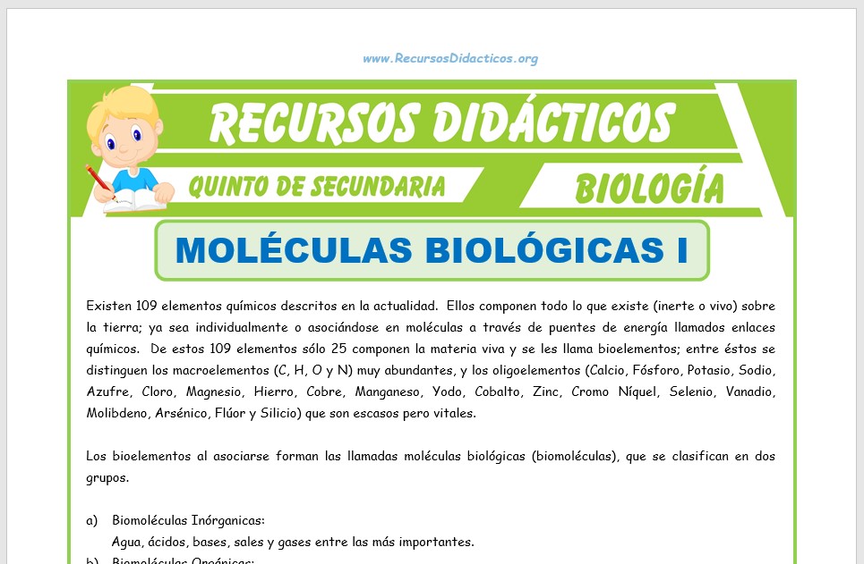 Ficha de Moléculas Biológicas para Quinto de Secundaria