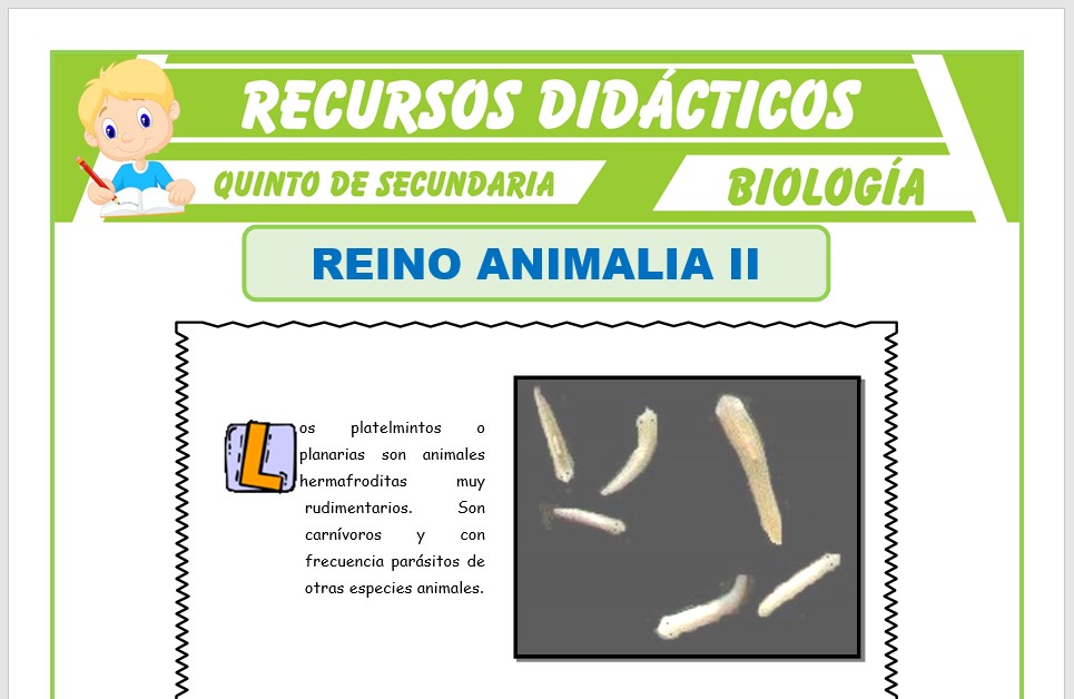 Ficha de Phylum Platelmintos y Phylum Nemathelmintos para Quinto de Secundaria