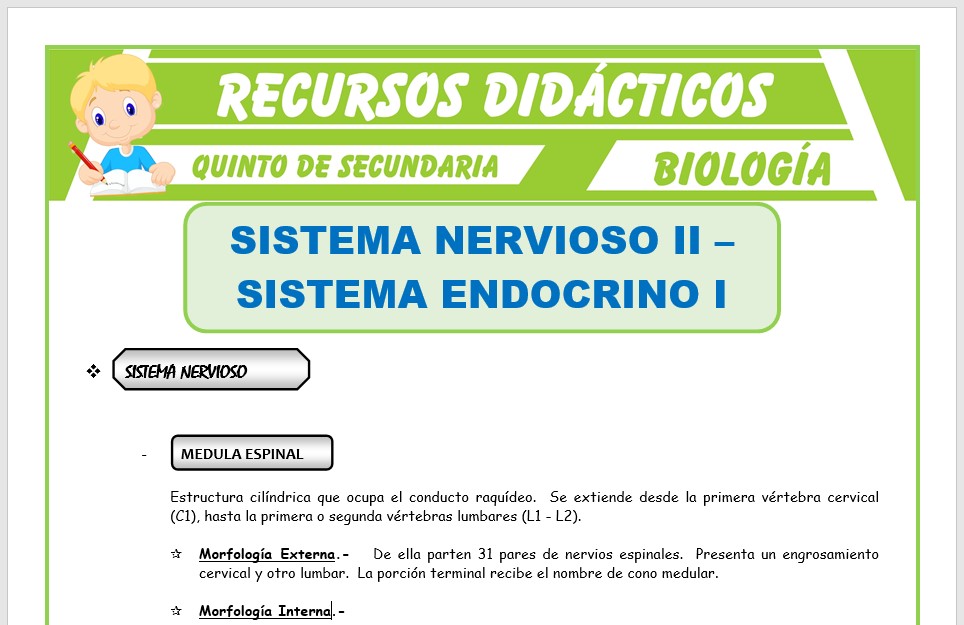 Ficha de Sistema Nervioso y Sistema Endocrino para Quinto de Secundaria