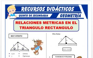 Ficha de Ejercicios de Relaciones Métricas en Triangulos Rectangulos para Quinto Grado de Secundaria