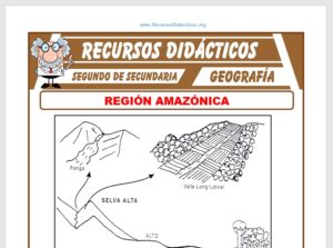 Ficha de La Región Amazónica para Segundo de Secundaria